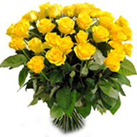 Yellow Rose Surprise