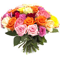 Cheerful Mixed Roses