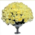 Treasured 60 White Roses Classic Beauty