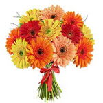 Cheerful Mixed Gerberas Daisies Flowers Bouquet