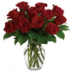 Splended Roses  
