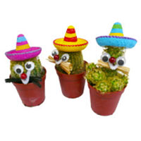 Cactus Mexican