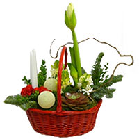 Dec 55 Planting