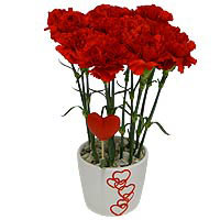 Valentine Gifts 26
