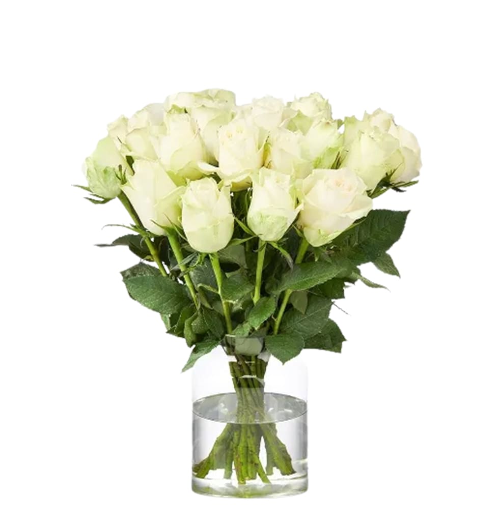 Serene White Roses Bouquet