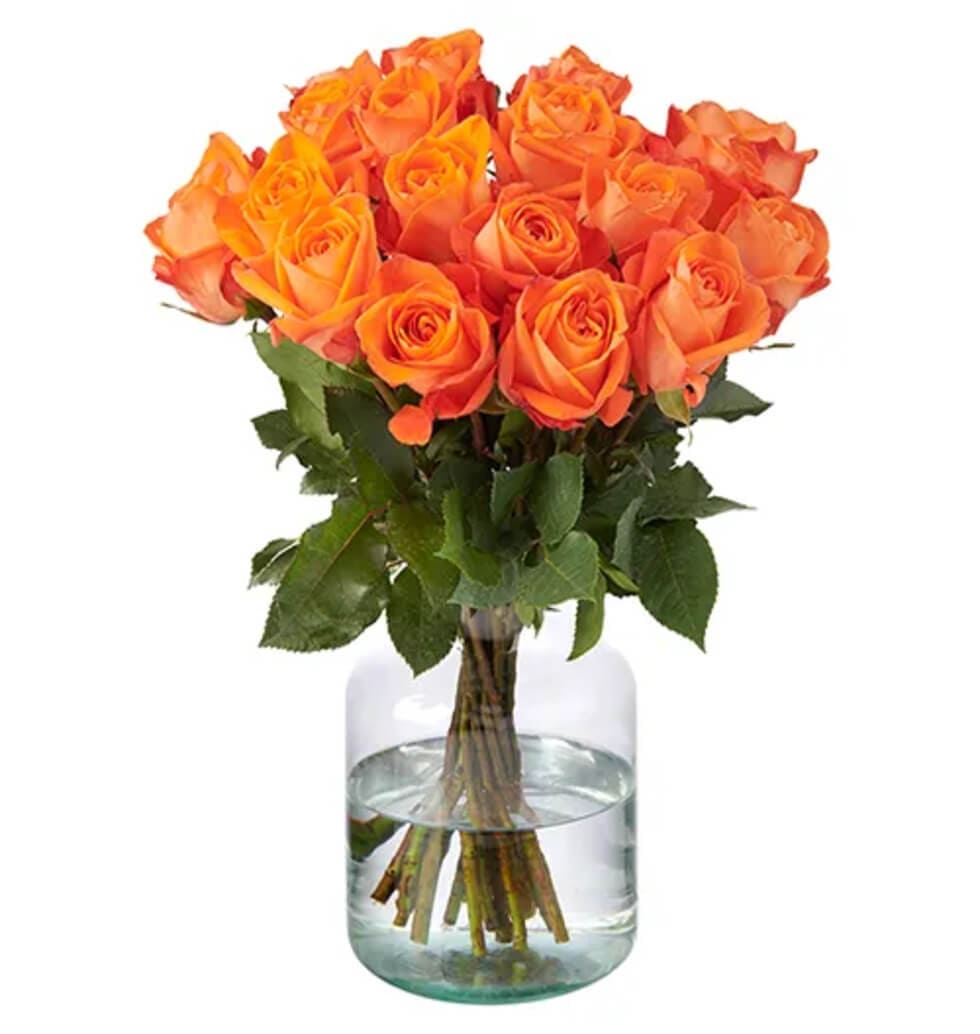 Symphony of orange roses