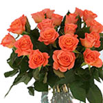 These cheerful orange roses is a great choice when...