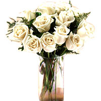 White Roses