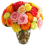 Bouquet of roses of multiple colours