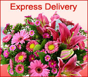 Express Delivery To Wakayama