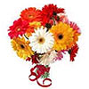 Same day Flowers  to  Japan, Honkg Kong, Germany, Singapore, Usa, Uk, Italy, France, Brazil, Mexico, Malaysia