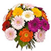Seasonal Flowers to  Japan, Honkg Kong, Germany, Singapore, Usa, Uk, Italy, France, Brazil, Mexico, Malaysia