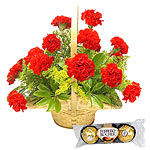 Greet your dear ones with this Stunning 12 Gerbera......  to salatiga