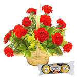 Stunning 12 Gerberas Bouquet with Ferrero Rocher