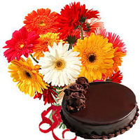 Amazing Arrangement of 12 Gerberas Bouquet with 1 Kg. Cake