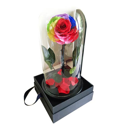 Eternal Rainbow Petals Rose in Glass Container