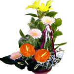 Basket - Anthurium, Gerbera, A