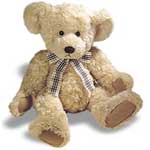 A nice Teddy bear, good for he...