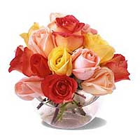 16 Mixed colorful Roses short...