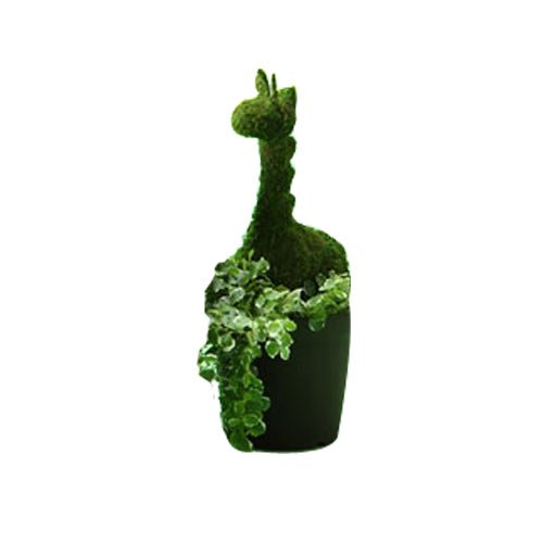 Eye-Catching Giraffe Shape Moss Plant