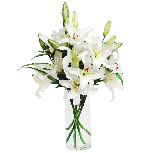 Artistic and Touch of Softness of Lilies in a Vase