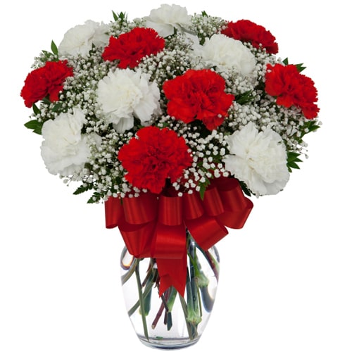 Dazzle your loved ones by gifting them this Classic White and Red Carnations on ...
