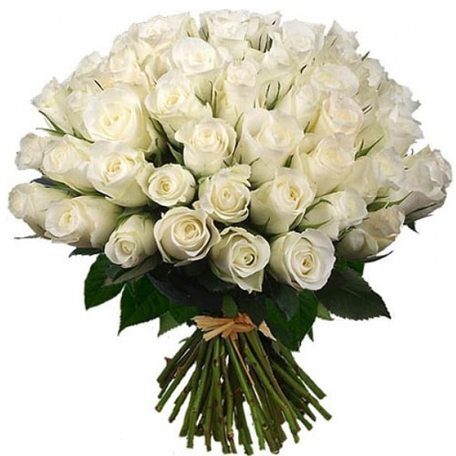 Festive Perfect Elegance Arrangement of 50 Fresh White Roses