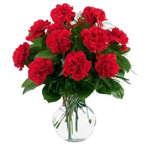 Stylish 12 Carnation Delight with Vase