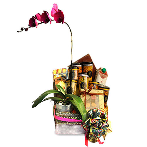 Ambrosial Food Delight Gift Hamper with Phalaenopsis Orchid