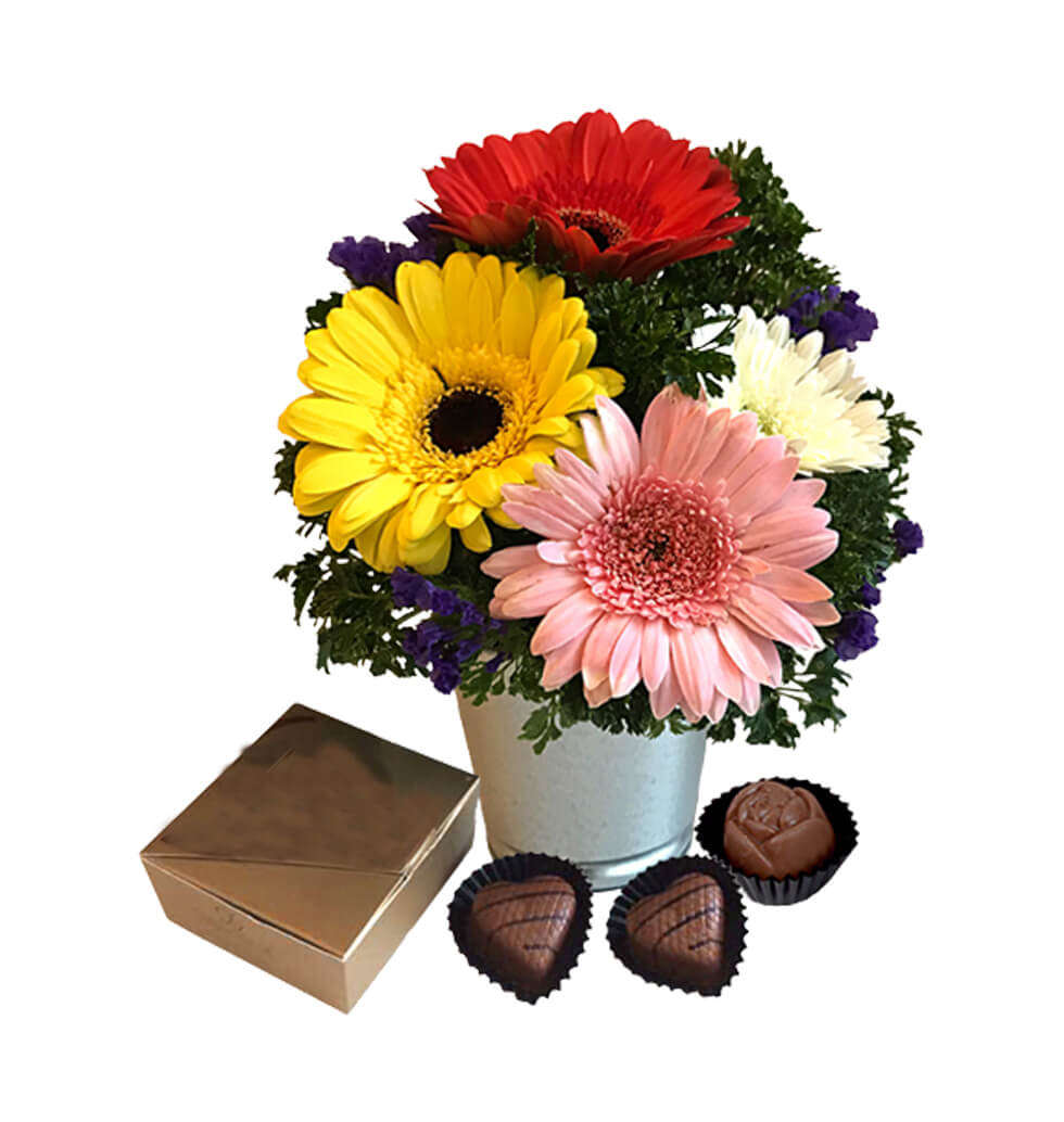 Luxury Chocolate with Gerberas