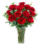 Rose In Vae