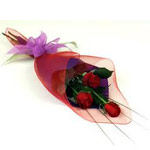 Red Rose Trio