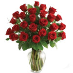  Red Roses