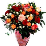 Colourful Roses