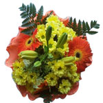 Blooming Favorite