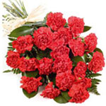 Simply Carnations