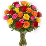 20 Multi Color Roses