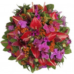 Graceful Slumber of Pink Red and Orange Floral Arrangement