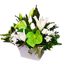 Graceful Mix of Blooms in a Ceramic Container