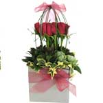 Roses and Bows