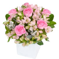 Sun-Kissed Shade of Pastel Pink Arrangement