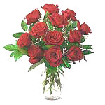 12 Red Roses in a Vase