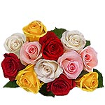 Captivating Mixed Roses