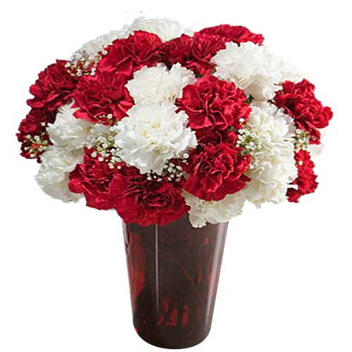 2 Dozen Mixed White & Red Carnations  in a Vase.......  to santiago