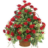 Popular 50 Roses