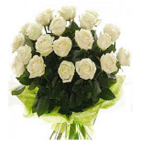 25 White  Roses