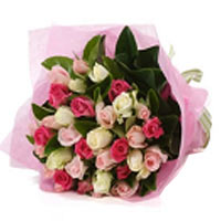 35 Multi Colour Roses