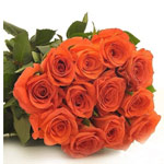 Classic Bunch of 12 Orange Roses