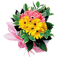 Brighten someone's day with this cheery collection of 15 stems of mixed color ge...