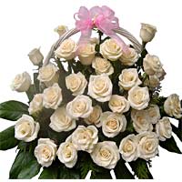 Cream Roses in a basket